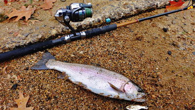 Waukewan Lake rainbow trout