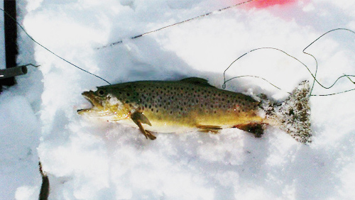Ice Fishing on Ashland Reservior