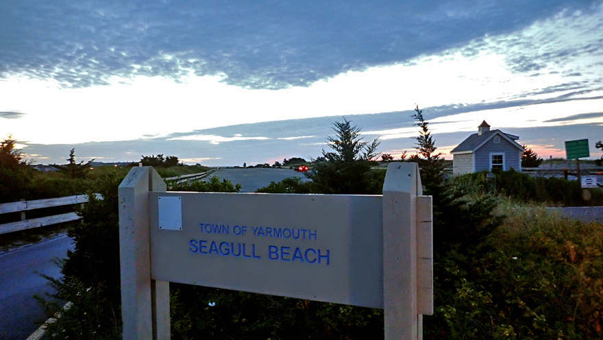 Seagull Beach