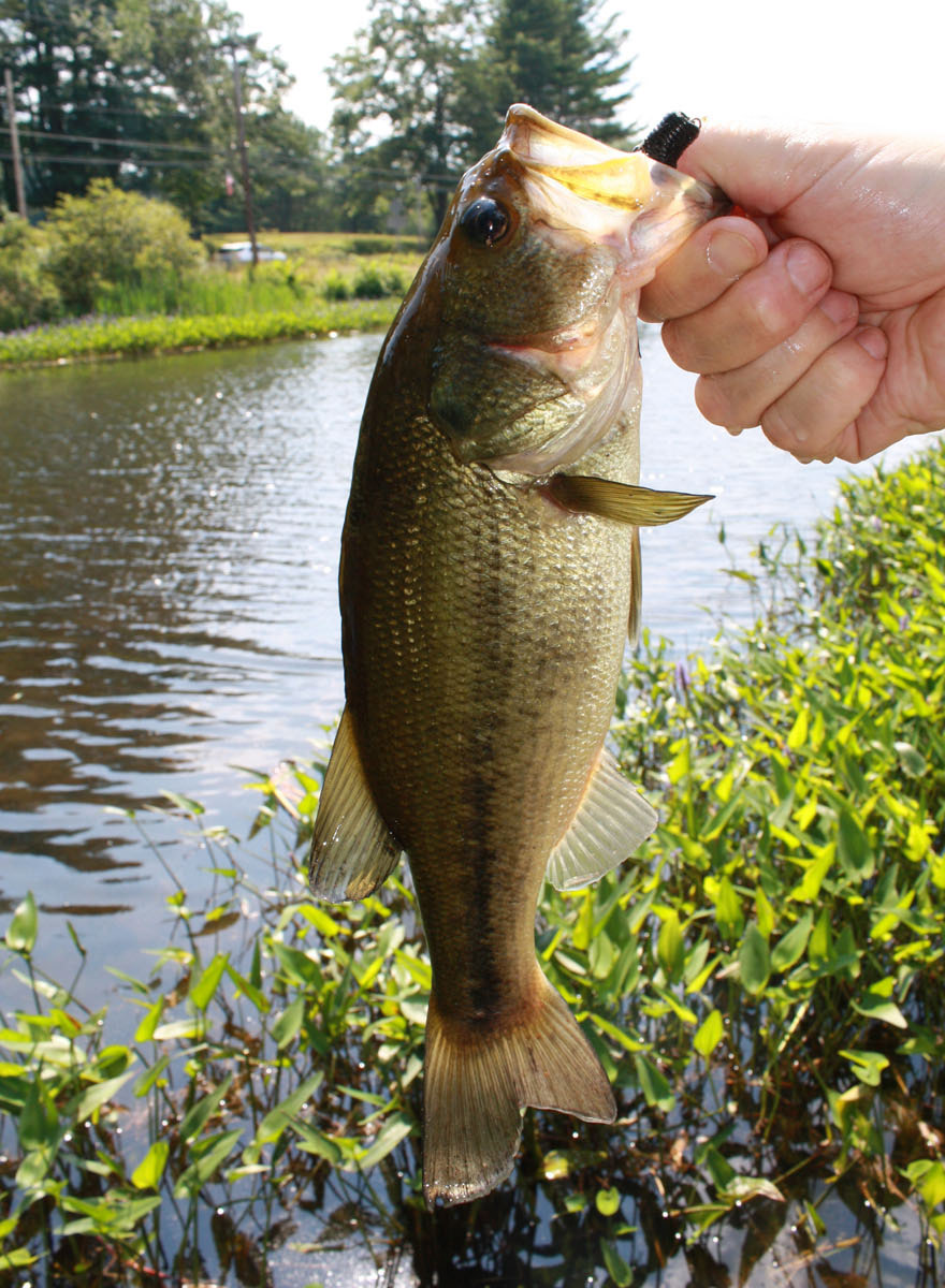 North Central Pathway in Winchendon, Massachusetts