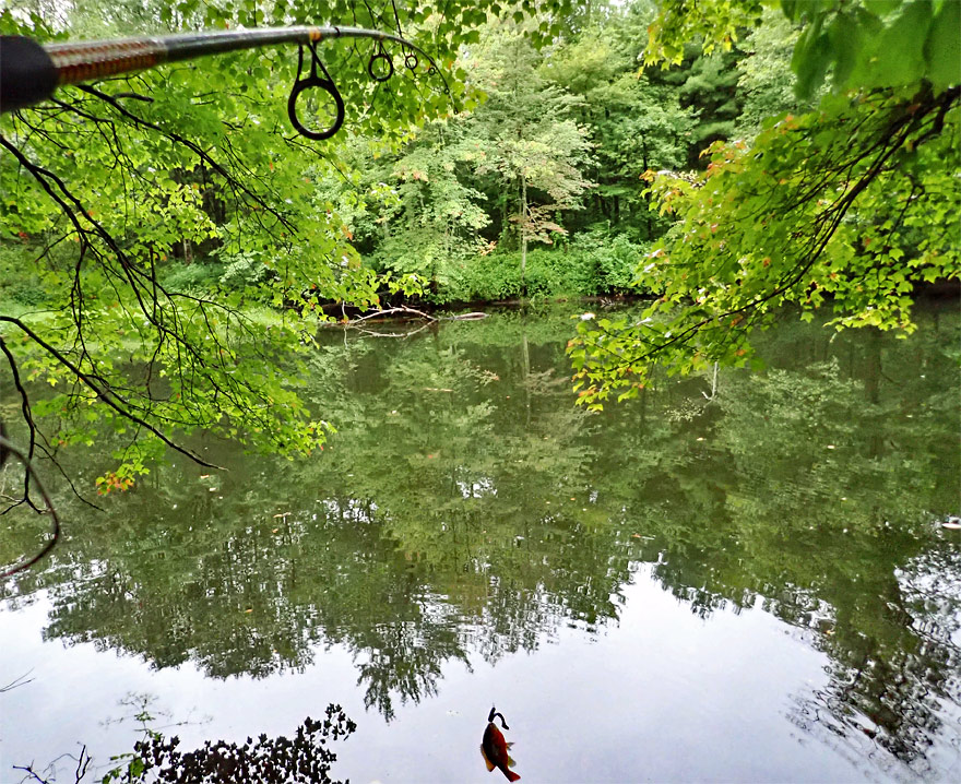 Palmer, Massachusetts