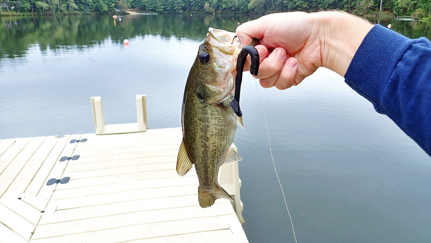 Pattaquattic Pond, Palmer, Massachusetts