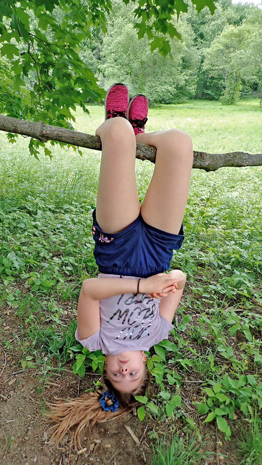 hanging updside down on tree branch