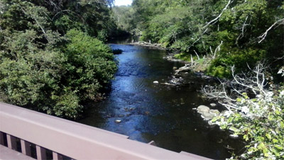 Charles River Medway to Norfolk