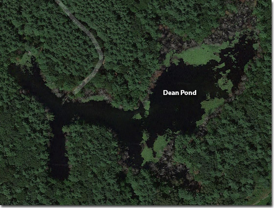 dean pond
