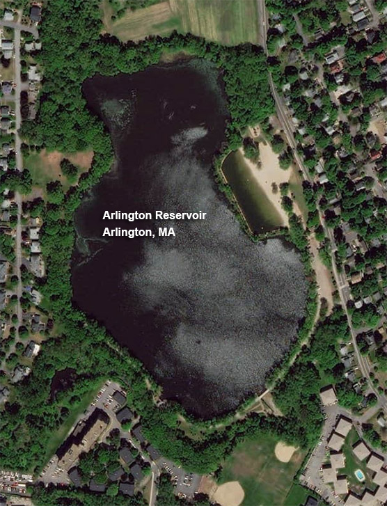 arlington reservoir