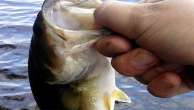 Lake Cochituate in Natick