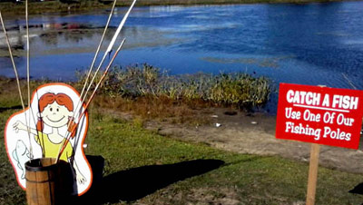Swan Pond in Carver massachusetts