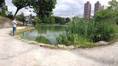 Harlem Meer in Central Park new york