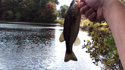Sudbury Reservoir in massachusetts