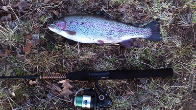 Dug pond trout