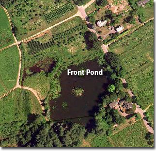 front pond
