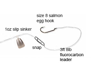 trout fishing rig
